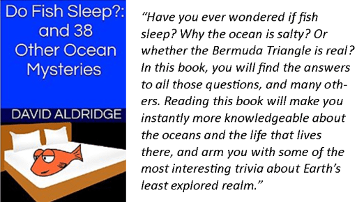 Cover with blurb.png